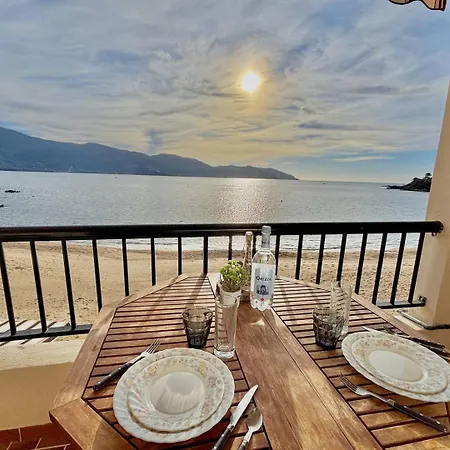 Apartment Terrasse Vue Calcatoggio (Corsica)
