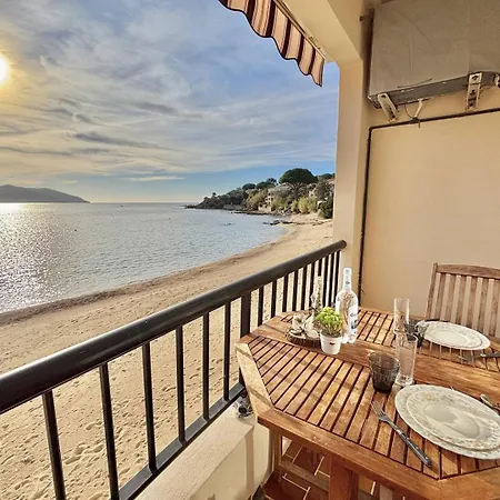 Terrasse Vue Calcatoggio (Corsica)